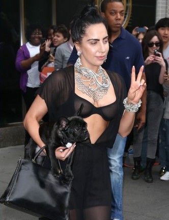 леди гага в белье