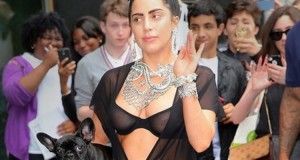 леди гага в черном белье