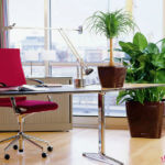 Фен-шуй рабочего стола для успешной карьеры