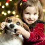 Как научить ребенка правильно обращаться с домашними животными