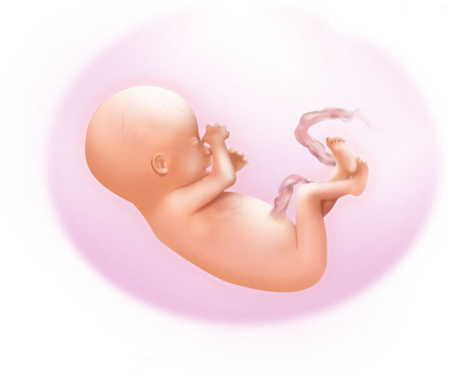 Родился уникальный ребенок с патологиями “осьминог”