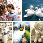 Мощнейшие символы фен-шуй для привлечения любви